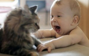 Аллергия на кошек у детей: способы борьбы с симптомами